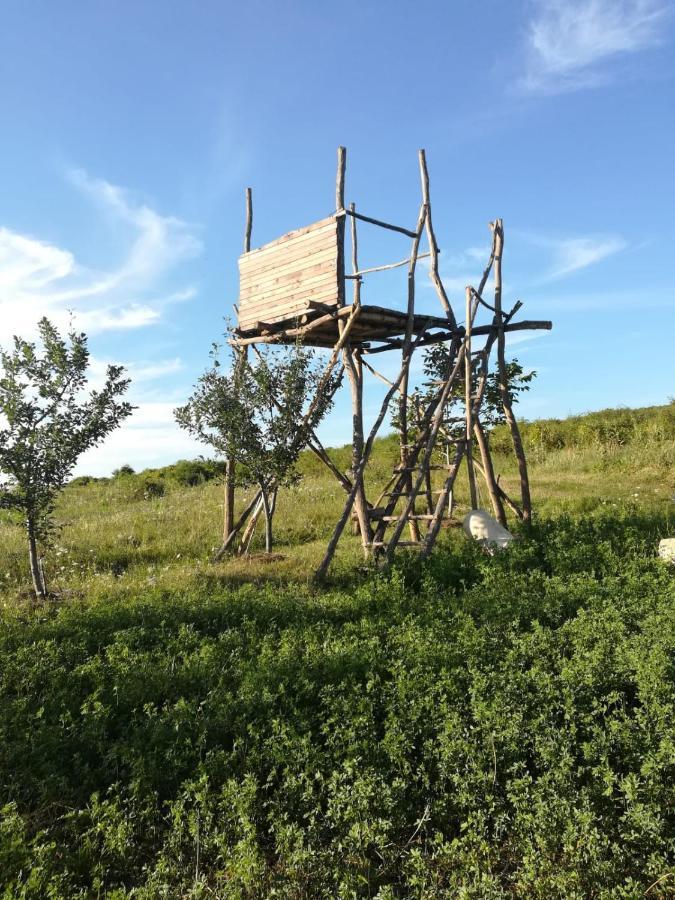 Pensiunea Agroturistica Casa Sirca Boghis Exterior photo